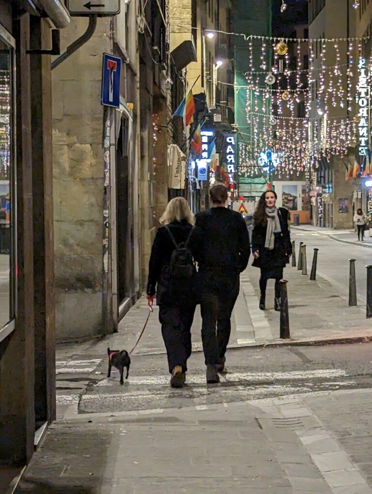 Holiday lights